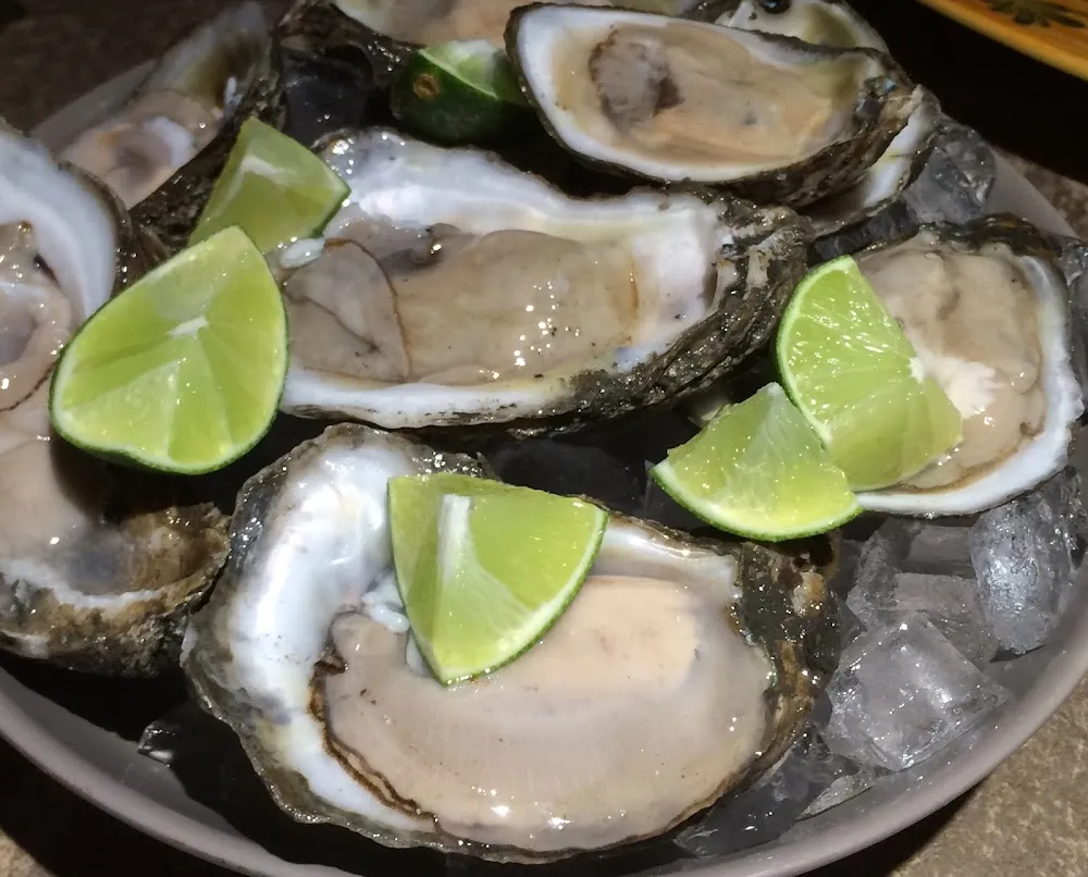 Bucket of Oysters